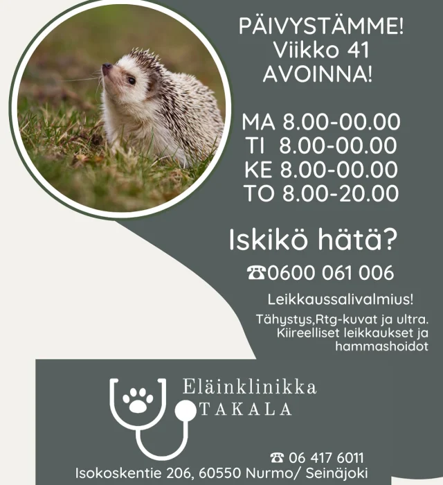 Viikolla 41 Päivystämme 🤍 
Päivystysnumero 
0600 061 006 📞
Normaaliajanvaraus 
06 417 6011 ☎️